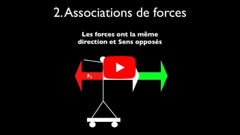 Lire la vidéo