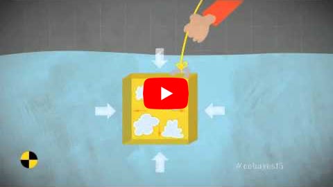 Lire la vidéo