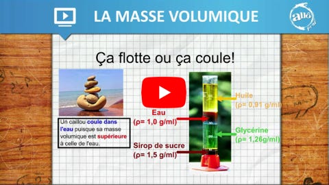 Vidéo Lire la vidéo