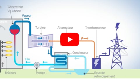 Lire la vidéo