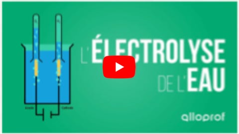 Lire la vidéo