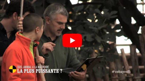 Lire la vidéo