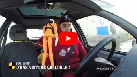 Lire la vidéo
