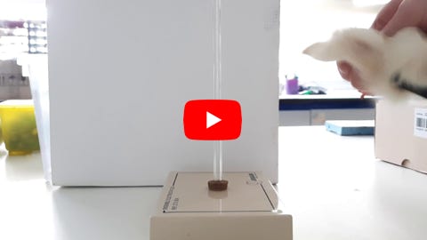 Lire la vidéo