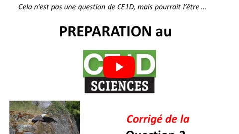 Lire la vidéo