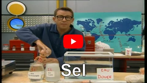 Vidéo Lire la vidéo