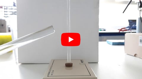 Lire la vidéo