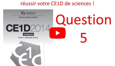 Lire la vidéo