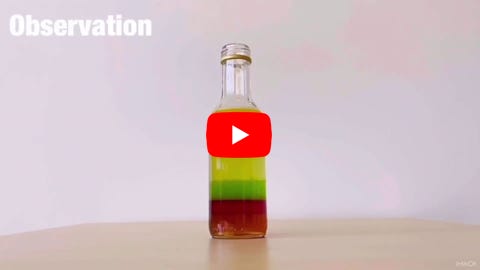 Lire la vidéo