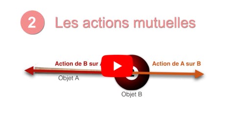 Lire la vidéo