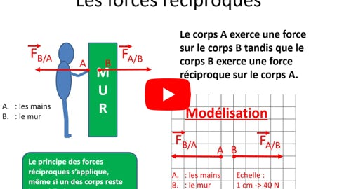 Lire la vidéo