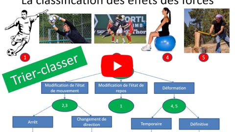 Lire la vidéo