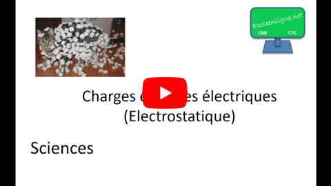 Lire la vidéo