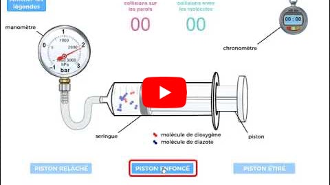 Lire la vidéo