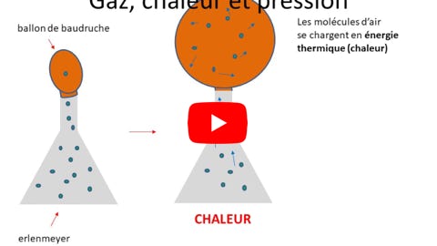 Lire la vidéo