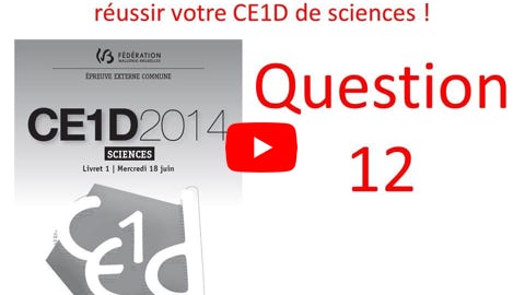 Lire la vidéo