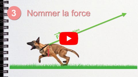 Lire la vidéo