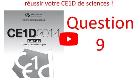 Lire la vidéo